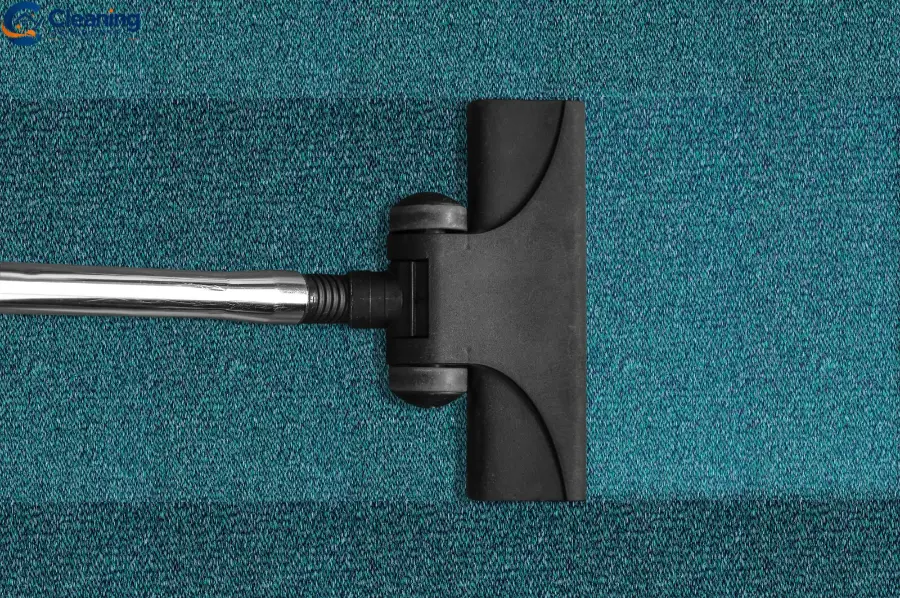 Carpet Cleaning Cost