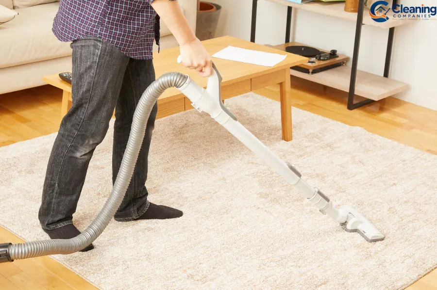 How to Remove Pet Odors From Carpet